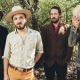 WildFeathers