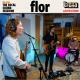 flor SPOTIFY THUMB 100