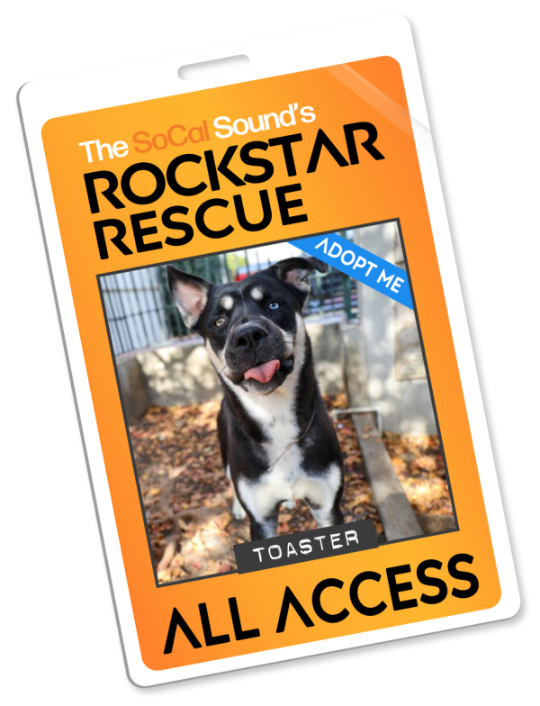 KCSN RockstarRescue PotW 020426 Pass