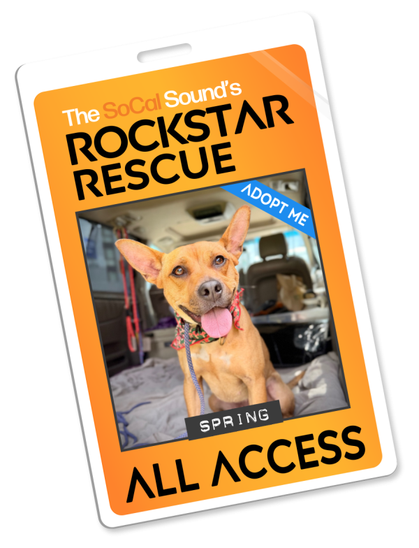 KCSN RockstarRescue PotW 061026 Pass