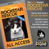 10.01: PET OF THE WEEK - FISKARS!